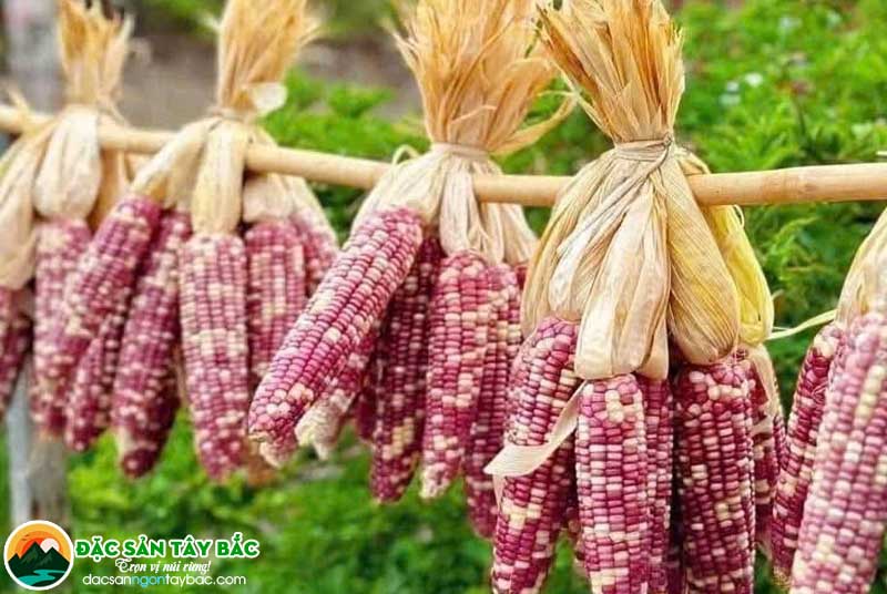 tinh chất trong ngô nếp tím tây bắc