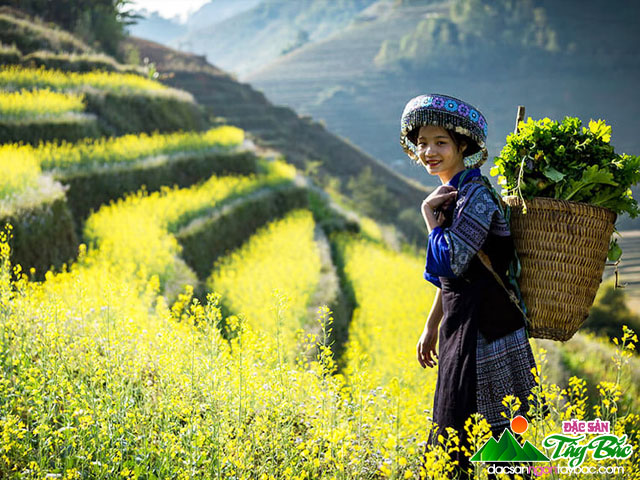 6-loai-gao-ngon-nhat-cua-tay-bac