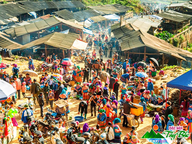 di-cho-bac-ha-kham-pha-dac-san-tay-bac