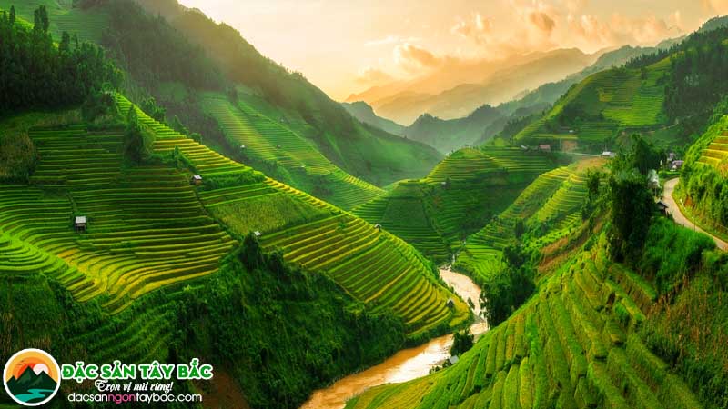 Sứ mệnh mang hương vị Tây Bắc tới mọi miền tổ quốc