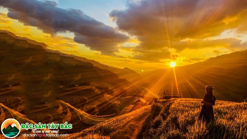 Tìm hiểu đôi nét về vùng đất Mù Cang Chải của yên Bái