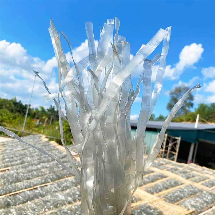 Hướng dẫn những bí quyết để chế biến miến dong sợi to