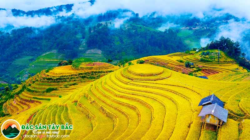 Chiêm ngưỡng nét đẹp hoang sơ của ruộng bậc thang tây bắc