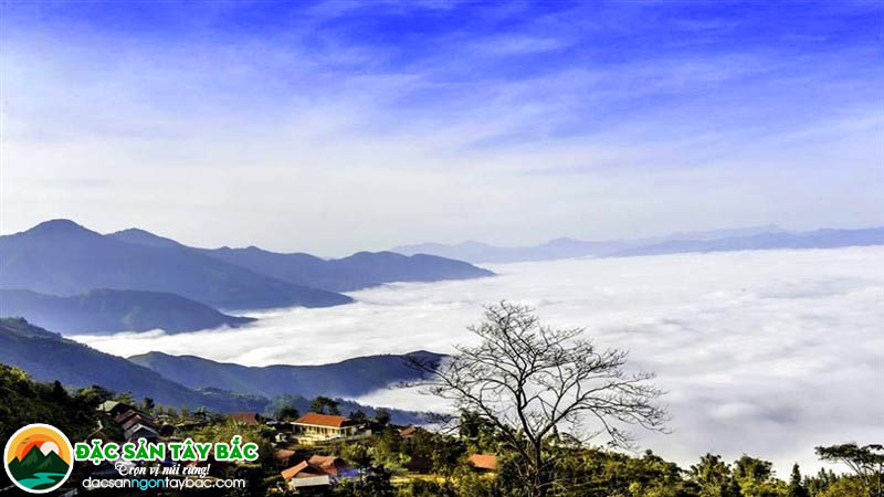 Du lịch săn mây được nhiều người ưa chuộng