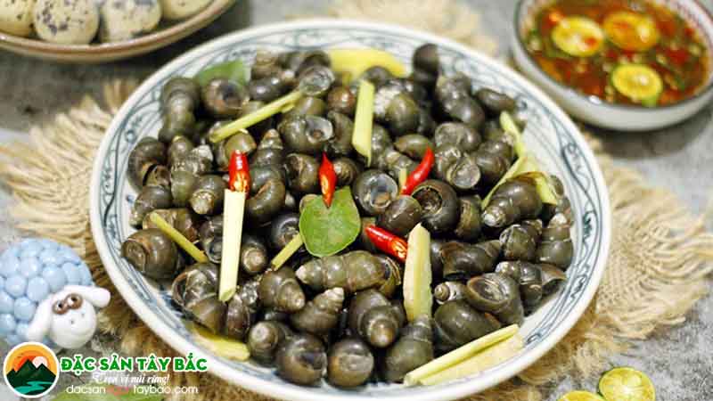 Ốc là món ngon tp hcm vô cùng nổi tiếng