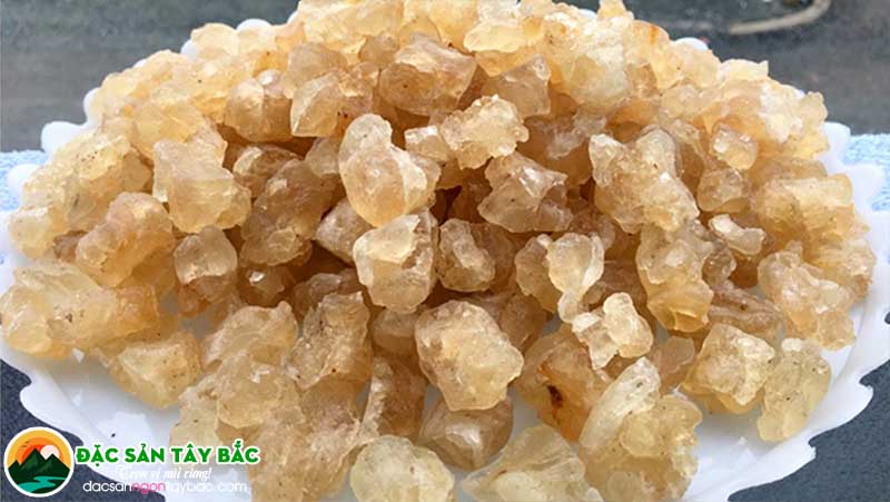 mủ trôm là đặc sản sài gòn làm quà thích hợp