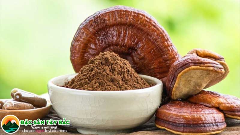 Nấm linh chi là món ngon sài gòn bổ dưỡng