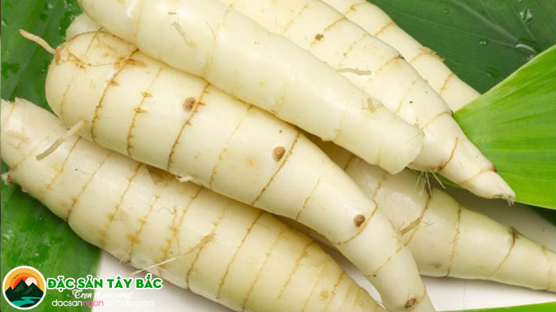 hướng dẫn cách nấu củ dong tốt cho sức khỏe