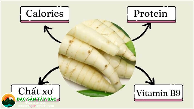 Tìm hiểu dinh dưỡng có trong củ dong