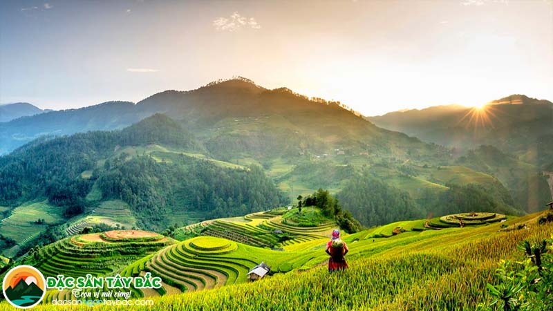 gạo nương là tinh túy của người dân vùng cao