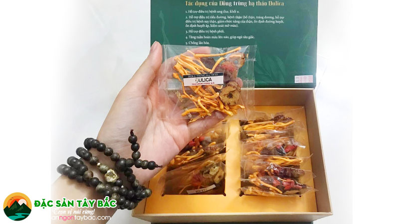 Giới thiệu về loại trà dưỡng tâm có chứa đông trùng hạ thảo