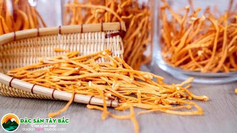 Cách sử dụng đông trùng thảo đúng cách