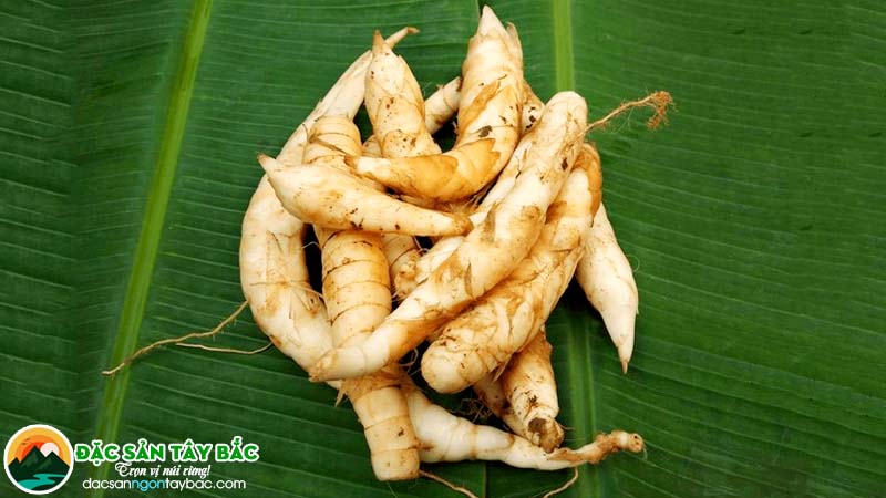 hướng dẫn cách dùng củ dong để đảm bảo sức khỏe, giữ nguyên dinh dưỡng