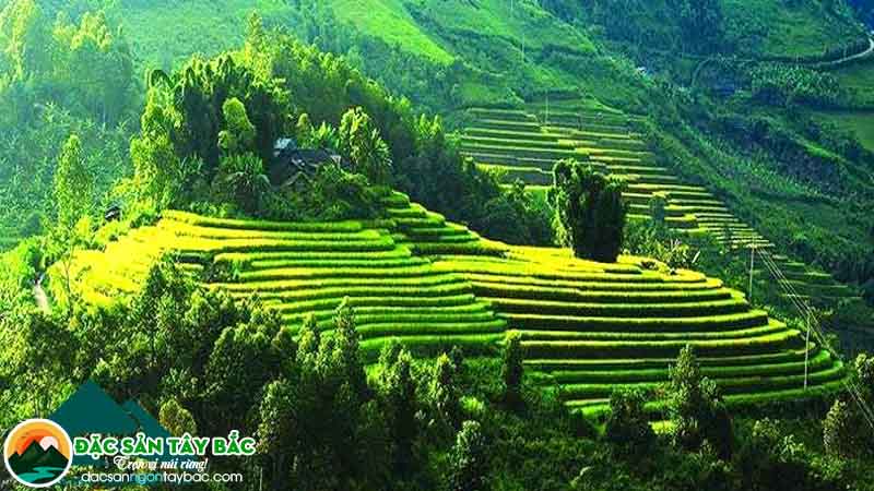 Khám phá tìm hiểu chi tiết khi đi thăm sơn la - miền tây bắc nắng gió