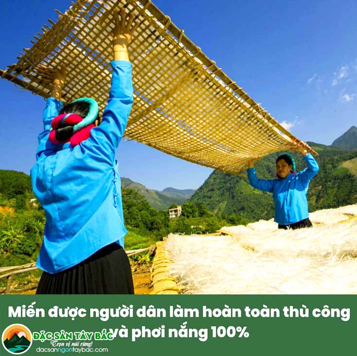 mua miến dong sợi to tại TP hcm với dinh dưỡng từ thiên nhiên