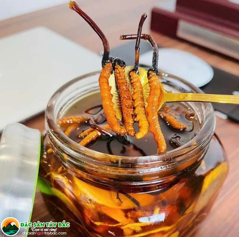 Lý giải uống mật ong mỗi ngày có lợi cho sức khỏe không?