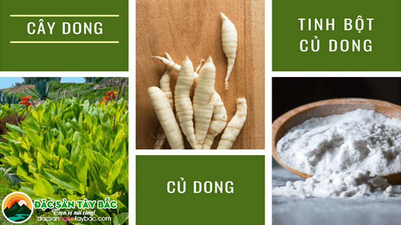 Giới thiệu về loại thực phẩm miến dong (miến dong tây bắc)
