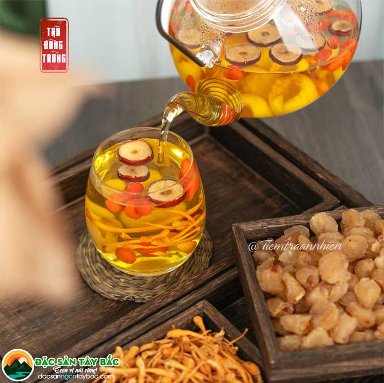 trà pha sẵn hạ thảo đông trùng