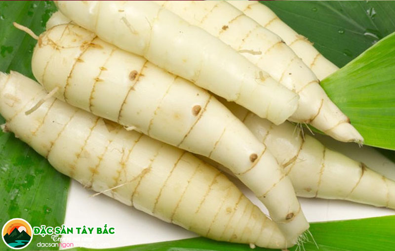 Những tác dụng tốt đẹp dành cho sức khỏe