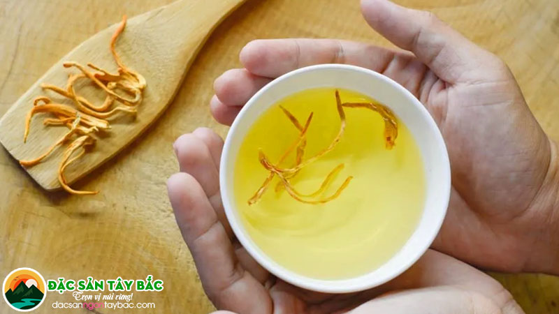 Những cách ăn đông trùng hạ thảo và chế biến khác nhau