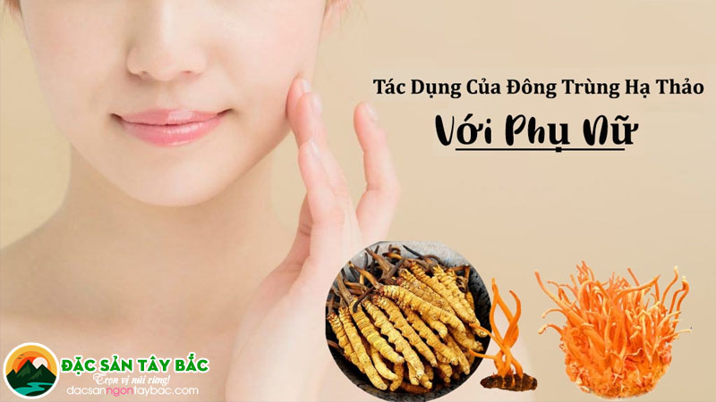 Tìm hiểu những tác dụng tốt đẹp của hạ thảo đông trùng với chị em con gái
