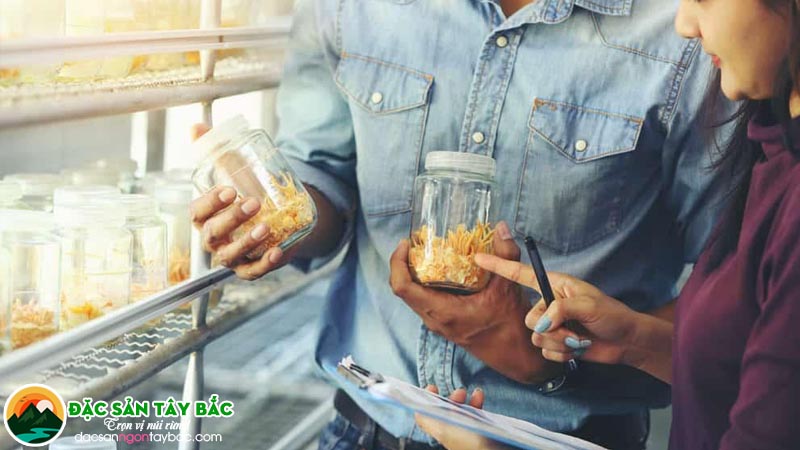 Bán đông trùng hạ thảo cao cấp giá rẻ