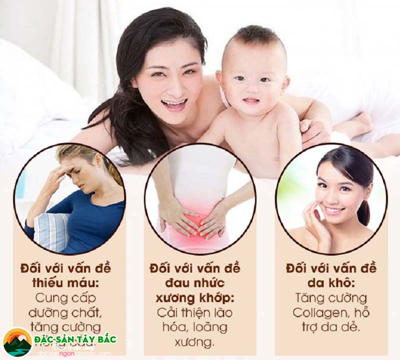 Công dụng của đông trùng hạ thảo đối với phụ nữ sau sinh