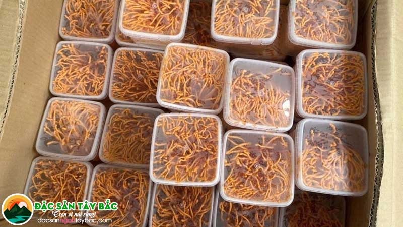 Kinh nghiệm chọn mua Đông trùng Hạ thảo tại Đà Nẵng uy tín