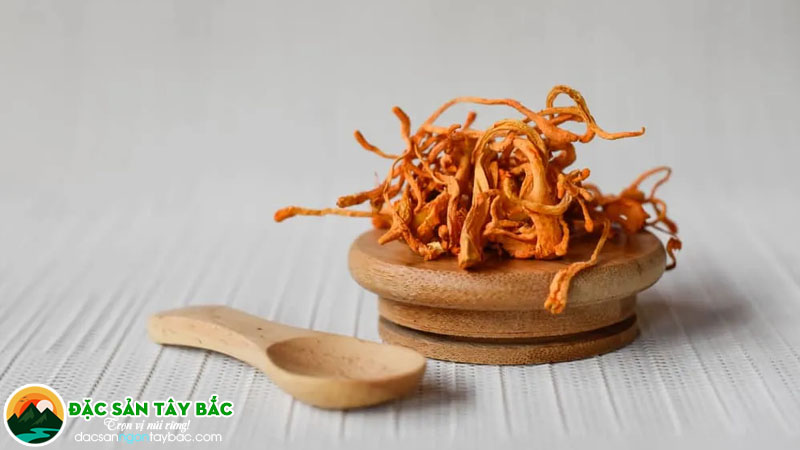 Các cách sử dụng khác nhau của đông trùng hạ thảo
