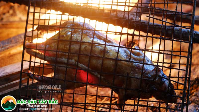 Giới thiệu món chuột rừng và thời điểm săn bắt
