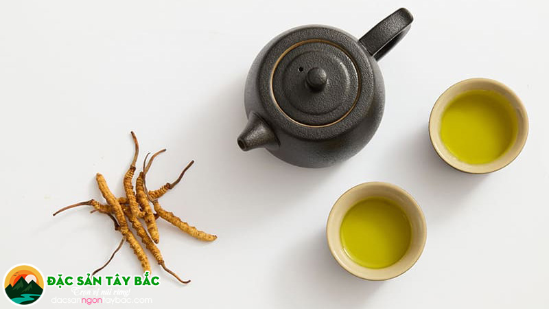 Cách sử dụng đông trùng thảo hợp lý