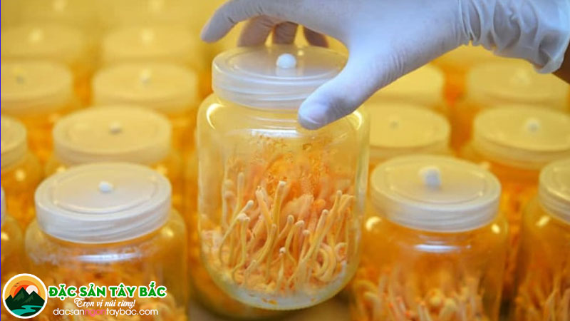 Các thành phần dinh dưỡng có trong đông trùng thảo