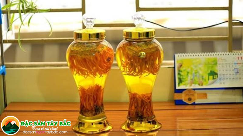 top 10 món đông trùng thảo ngâm