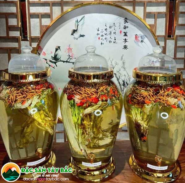 Chuẩn bị nguyên liệu ngâm rượu Đông trùng hạ thảo