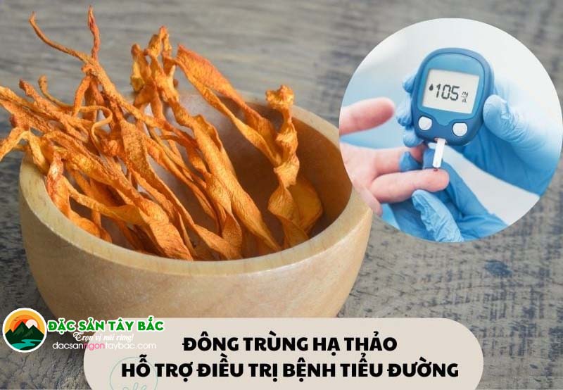 Những lợi ích của đông trùng hạ thảo đối với người bị tiểu đường