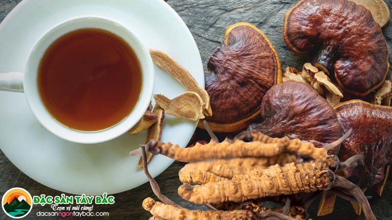 Vì sao đông trùng hạ thảo kết hợp với nấm linh chi được ưa chuộng?