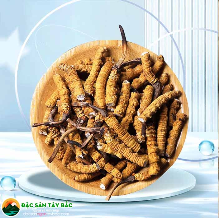 Cách thưởng thức đông trùng hạ thảo khô để cảm nhận trọn vẹn hương vị