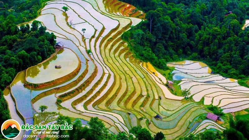Sapa mùa nước đổ đẹp như tranh