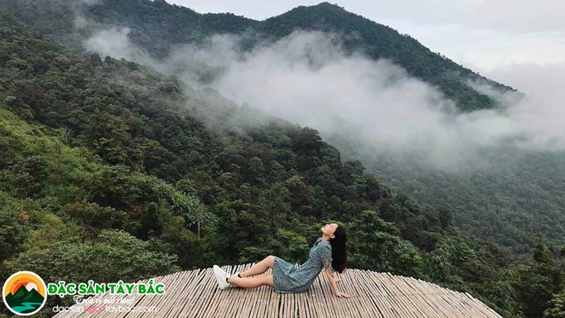 Tam Đảo – "Đà Lạt của miền Bắc"