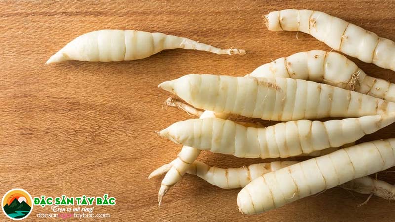 dong riềng trắng là nguyên liệu để sản xuất miến dong sợi to thái tay tại tp hcm