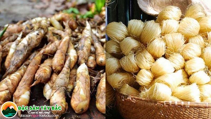 Giới thiệu tổng quan về củ dong để làm miến