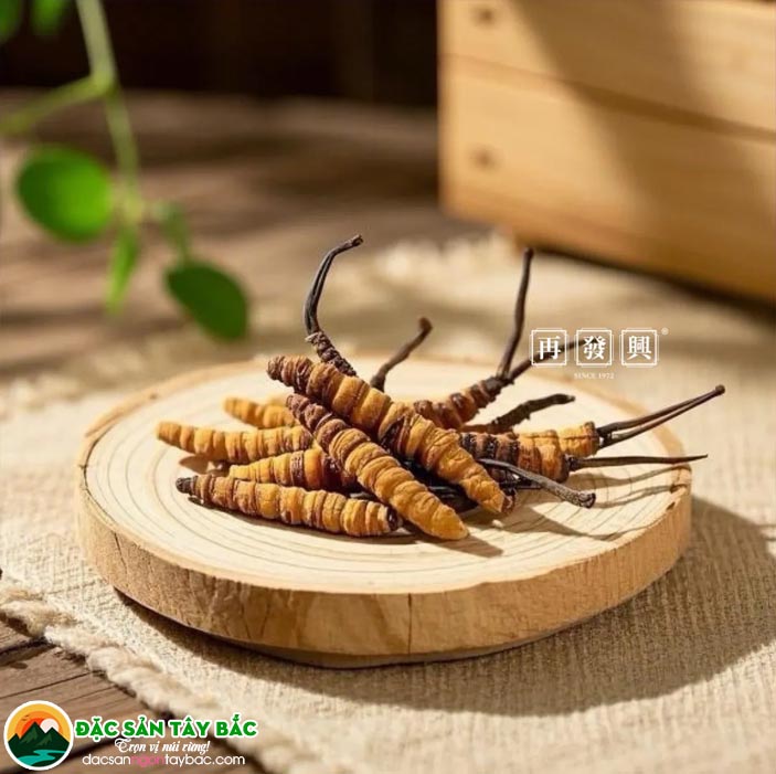 Vì sao mùi vị đông trùng hạ thảo khô có sự khác biệt?
