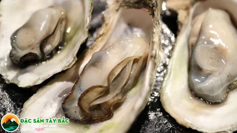 Những thực phẩm nên bổ sung để tăng cường sức khỏe sinh sản