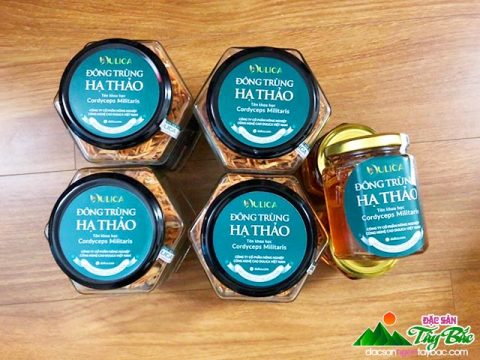 Giải mã sức mạnh cặp đôi hàu biển và đông trùng hạ thảo đối với sinh lý nam giới