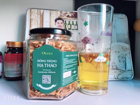 Đông trùng hạ thảo có ảnh hưởng tới cân nặng ra sao