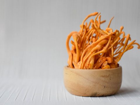 Cordyceps militaris là gì? Tìm hiểu về loài nấm kỳ lạ nhiều công dụng