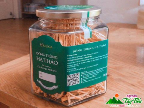 6 Lợi Ích Của Đông Trùng Hạ Thảo Dựa Trên Khoa Học