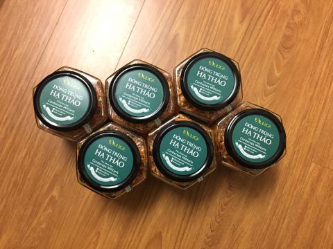 Bệnh nhân ung thư uống được đông trùng hạ thảo không?