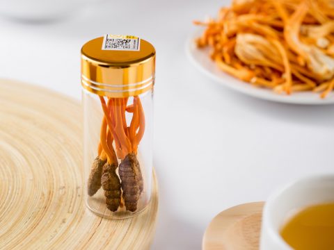 Các loại đông trùng hạ thảo hiện nay: Phân loại chi tiết nhất