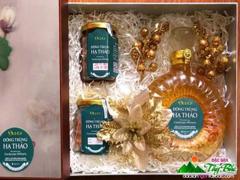 Đông trùng hạ thảo giúp cải thiện chứng rối loạn tình dục hiệu quả